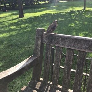 Meet your Posher, Rayan